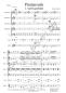 Preview: Piratensuite, Gerriet Heuten, Akkordeon-Orchester, Suite in 3 Sätzen, leicht-mittelschwer, Kiddystimme, Easystimme, Akkordeon Noten, Probeseite