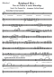 Preview: Reinhard Mey - Über den Wolken und andere Höhenflüge, Reinhard Mey, Gottfried Hummel, Akkordeonorchester, Medley, Potpourri, Tophits, Ohrwurm, mittelschwer, Akkordeon Noten