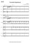 Preview: Tarantella Napoletana, Matthias Hennecke, Akkordeon-Orchester, traditionelle Weise, Italien, Miracoli ist fertig, mittelschwer, Akkordeon Noten, Probeseite