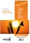 Preview: A Butterfly Shines On Me, Lionel Chapuis, Akkordeon-Orchester, Irish Folk, Rock, Hommage, mittelschwer-schwer, Originalkomposition, Originalmusik, Akkordeon Noten, Stimmensatzdeckblatt