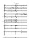 Preview: Celtic Fire, Hans-Günther Kölz, Akkordeon-Orchester, Irish Folk, mittelschwer-schwer, Originalkomposition, Originalmusik, Irland, Akkordeon Noten, Blick in die Noten