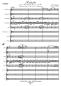 Preview: Andante aus dem Klavierkonzert Nr. 21 in C-Dur, Thema und Variationen, Wolfgang Amadeus Mozart, Werner Heetfeld, Akkordeon-Orchester, klassische Musik, Konzertstück, Wettbewerbsstück, Wertungsstück, Wettbewerbsliteratur, mittelschwer-schwer, Oberstufe, Ak