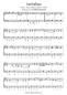 Preview: Back to the Country Roads, Gottfried Hummel, Akkordeon-Solo, Standardbass MII, Klavier, Keyboard, Spielheft, Soloband, Tophits, Evergreens, Countrymusic, leicht-mittelschwer, Akkordeon Noten, Notenbeispiel