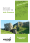 Preview: Irish Summer, Hans-Günther Kölz, Martin Kopf, Akkordeonorchester, leicht, irische Musik, Irland, Originalkomposition, mit Übungs-CD, Akkordeon Noten