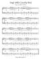 Preview: Country Music - Easy Country Songs, Geoffrey D. Barlow, Akkordeon-Solo, Standardbass MII, Klavier, Keyboard, Spielheft, Soloband, Traditionals, Originalkompositionen, leicht, Akkordeon Noten, Beispielseite