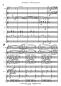 Preview: Introduction e Rondo capriccioso, Werner Heetfeld, Akkordeon-Orchester, Originalkomposition, Konzertstück, Wettbewerbsstück, Wettbewerbsliteratur, Wertungsstück, anspruchsvoll, schwer, Oberstufe, Akkordeon Noten, Originalmusik, Notenbeispiel