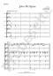 Preview: John McAlpine, Janin Janke, Akkordeon-Orchester, Akkordeon-Ensemble, Scottish Traditional, alte schottische Melodie, gälische Folklore, Strathpey, Reel, leicht-mittelschwer, Easy-Stimme, Akkordeon Noten, Blick in die Noten