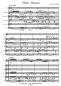Preview: Kleine Romanze, Werner Heetfeld, Akkordeon-Orchester, Solo-Instrument, romantisches Spielstück, Originalkomposition, leicht, Akkordeon Noten, Originalmusik, Probeseite