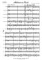 Preview: Melodien aus Irland, Werner Heetfeld, Akkordeon-Orchester, Medley, Potpourri, Polka, Air, leicht, Kiddystimme, Easy-Stimme, Akkordeon Noten, Notenbeispiel