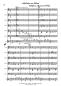 Preview: Melodien aus Irland, Werner Heetfeld, Akkordeon-Orchester, Medley, Potpourri, Polka, Air, leicht, Kiddystimme, Easy-Stimme, Akkordeon Noten, Probeseite