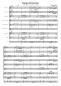 Preview: Tango Emoción, Thomas Ott, Akkordeon-Orchester, Wertungsstück, Wettbewerbsstück, Wettbewerbsliteratur, Mittelstufe, leicht-mittelschwer, Originalkomposition, Originalmusik, Akkordeon Noten, Notenbeispiel