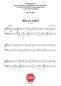 Preview: Bella Ciao, Einzelausgabe, Stefan Bauer, Akkordeon-Solo, Easy Version & Advanced Version, Sommerhit, Akkordeon Noten