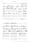 Preview: Maple Leaf Rag, Scott Joplin, Helmut Quakernack, Akkordeon-Orchester, Akkordeon-Ensemble, Ragtime, Klassiker, mittelschwer, Akkordeon Noten, Beispielseite