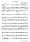 Preview: Divertimento 1, Wolfgang Amadeus Mozart, Andreas Nebl, Suite in 5 Sätzen Melodieinstrument in C oder Bb und Akkordeon Melodiebass MIII, mittelschwer, Wertungsstück, Wettbewerb, Wettbewerbsliteratur Nebl & Nebl, Akkordeon Plus, Kammermusik, Akkordeon Noten