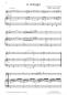 Preview: Divertimento 1, Wolfgang Amadeus Mozart, Andreas Nebl, Suite in 5 Sätzen Melodieinstrument in C oder Bb und Akkordeon Melodiebass MIII, mittelschwer, Wertungsstück, Wettbewerb, Wettbewerbsliteratur Nebl & Nebl, Akkordeon Plus, Kammermusik, Akkordeon Noten