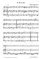 Preview: Divertimento 1, Wolfgang Amadeus Mozart, Andreas Nebl, Suite in 5 Sätzen Melodieinstrument in C oder Bb und Akkordeon Melodiebass MIII, mittelschwer, Wertungsstück, Wettbewerb, Wettbewerbsliteratur Nebl & Nebl, Akkordeon Plus, Kammermusik, Akkordeon Noten
