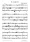 Preview: Divertimento 2, Wolfgang Amadeus Mozart, Andreas Nebl, Suite in 5 Sätzen Melodieinstrument in C oder Bb und Akkordeon Melodiebass MIII, mittelschwer, Wertungsstück, Wettbewerb, Wettbewerbsliteratur Nebl & Nebl, Akkordeon Plus, Kammermusik, Akkordeon Noten