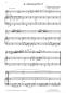 Preview: Divertimento 2, Wolfgang Amadeus Mozart, Andreas Nebl, Suite in 5 Sätzen Melodieinstrument in C oder Bb und Akkordeon Melodiebass MIII, mittelschwer, Wertungsstück, Wettbewerb, Wettbewerbsliteratur Nebl & Nebl, Akkordeon Plus, Kammermusik, Akkordeon Noten