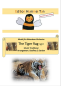 Preview: The Tiger Rag light, Geoffrey D. Barlow, Akkordeonorchester, Jugendorchester, Jazz, Jazzstandard, Easystimme, Kiddystimme, leicht, Akkordeon Noten, Cover