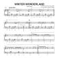 Preview: Winter Wonderland, Felix Bernard, Matthias Matzke, Lukas Proste, Stefan Bauer, Einzelausgabe, Akkordeon-Solo, Standardbass MII, Weihnachtslied, Weihnachtsklassiker, 3 Versionen, leicht, mittelschwer, schwer, Funk-Style, Groovy Christmas, Akkordeon Noten,