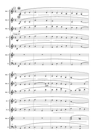 Irish Tune From County Derry, A Londonderry Air, Danny Boy, Percy Aldridge Grainger, Johannes Baumann, Akkordeon-Orchester, irische Volksweise, leicht-mittelschwer, Akkordeon Noten, Probeseite