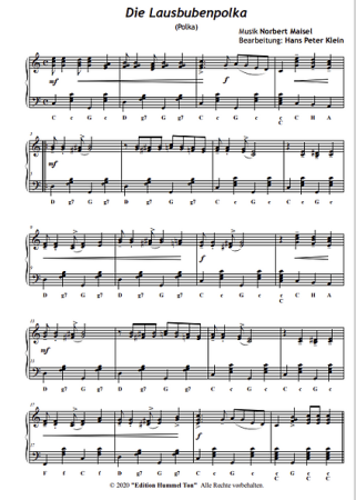 Schöne Zeiten, Norbert Maisel, Hans Peter Klein, Akkordeon-Solo, Standardbass MII, Spielheft, Soloband, fünf Spielstücke, Polka, Walzer, mittelschwer, Akkordeon Noten