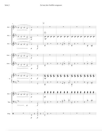 Du hast den Farbfilm vergessen, Michael Heumann, Kurt Demmler, Stefan Bauer, Akkordeon-Orchester, Nina Hagen, Automobil, Megahit, Schlager, leicht-mittelschwer, Akkordeon Noten, Blick in die Noten