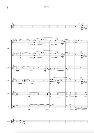 A Swift's Return, Ian Watson, Akkordeon-Orchester, Originalkomposition, Wertungsstück, Wettbewerbsliteratur, 18. Eidgenössische Akkordeon Musikfest, Mittelstufe, mittelschwer, Originalmusik, Akkordeon Noten, Blick in die Noten