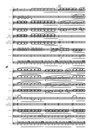 Serpent, Herbert Pixner, Susanne Stampfer, Akkordeon-Orchester, Solo-Stimme, Klangmalerei, Konzertstück, gut gegen böse, mittelschwer, Akkordeon Noten, Blick in die Noten