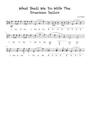 Steirische XXL, Griffschrift, Harmonika, Martina Kluge, Michlbauer, mittelschwer, Harmonika Noten, Liedersammlung, Irish Folk, Tango, Musette, Klassik, Gospel, Spirituals, Country, Traditionals und Folksongs aus aller Welt