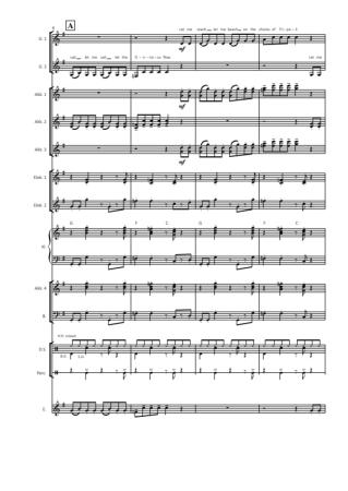 Orinoco Flow, Enya, Roma Ryan, Jürgen Moll, Akkordeon-Orchester, mittelschwer, mit Easy-Stimme, Unterhaltungskonzert, Megahit, Akkordeon Noten, Probeseite