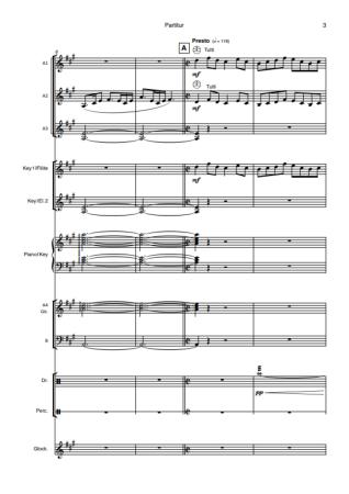 Preview: Celtic Fire, Hans-Günther Kölz, Akkordeon-Orchester, Irish Folk, mittelschwer-schwer, Originalkomposition, Originalmusik, Irland, Akkordeon Noten, Blick in die Noten