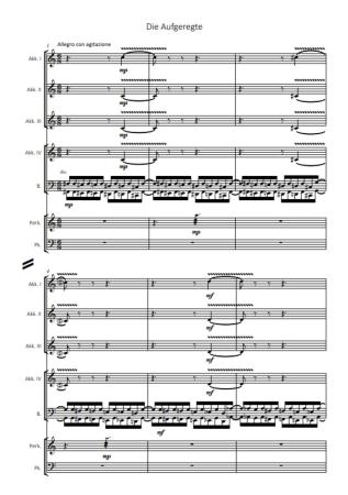 Vier Eigenschaften, Susanne App, Akkordeon-Orchester, Suite in 4 Sätzen, Originalkomposition, Originalmusik, Charakterstudien, Emotionen, Gefühle, mittelschwer, Akkordeon Noten, Blick in die Noten
