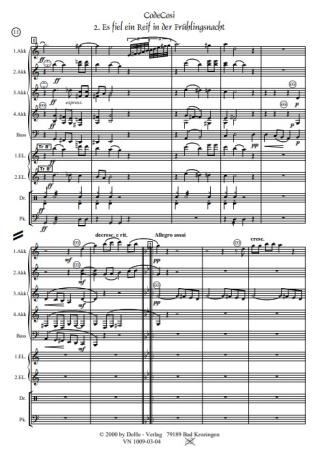 CodeCosi, Werner Heetfeld, Akkordeon-Orchester, Fantasie in vier Sätzen, viersätzige Komposition, mit rechts und links, Wertungsstück, Wettbewerbsstück, Wettbewerbsliteratur, schwer, Oberstufe, Akkordeon Noten, Originalkomposition, Originalmusik, Beispiel