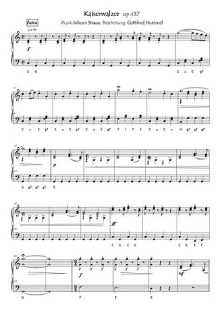 Ein Strauss mit Strauss, Johann Strauss, Gottfried Hummel, Akkordeon-Solo, Standardbass MII, Klavier, Keyboard, Spielheft, Soloband, leicht-mittelschwer, Akkordeon Noten, Notenbeispiel
