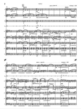 Eine Ballett-Suite in D-Dur, op. 130 - Satz 5: Valse d'amour, Max Reger, Stefan Hippe, Akkordeon-Orchester, Suite, Walzer, (mittelschwer-) schwer, Akkordeon Noten, Notenbeispiel