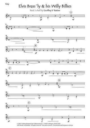 Elvis Brass´ly & his Willy Billies, Geoffrey D. Barlow, Akkordeonorchester, Rock'n'Roll, Easy-Stimme, Kiddy-Stimme, leicht-mittelschwer, Akkordeon Noten, Beispielseite
