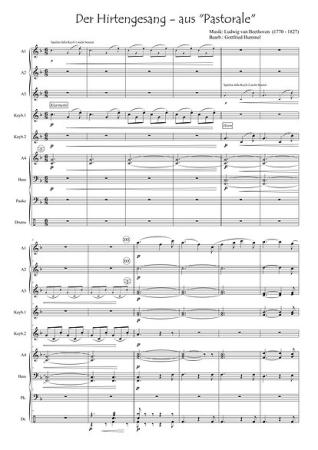Hirtengesang, Probeseite, Partitur, Ludwig van Beethoven, ​Gottfried Hummel, Akkordeonorchester, Sinfonie Nr. 6, Pastorale, leicht-mittelschwer, Akkordeon Noten, klassische Musik