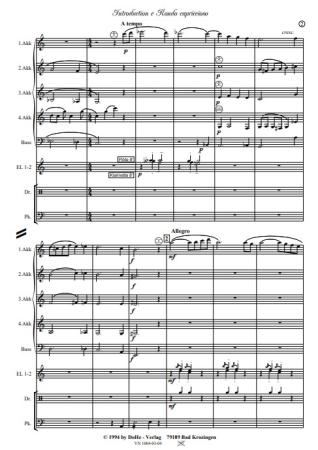 Introduction e Rondo capriccioso, Werner Heetfeld, Akkordeon-Orchester, Originalkomposition, Konzertstück, Wettbewerbsstück, Wettbewerbsliteratur, Wertungsstück, anspruchsvoll, schwer, Oberstufe, Akkordeon Noten, Originalmusik, Beispielseite