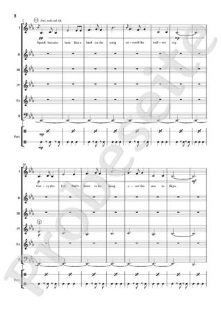 Skye Boat Song, Janin Janke, Björn Kasan, Akkordeon-Orchester, Akkordeon-Ensemble, Air, Scottish Traditional, alte schottische Melodie, gälische Folklore, leicht-mittelschwer, Easy-Stimme, Akkordeon Noten, Blick in die Noten