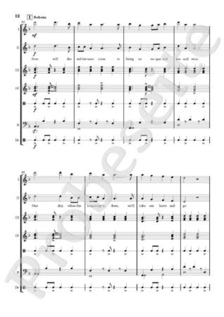 Wellerman, Janin Janke, Akkordeon-Orchester, Akkordeon-Ensemble, Traditional aus Neuseeland, alte neuseeländische Melodie, Folklore, mittelschwer, Easy-Stimme, Akkordeon Noten, Probeseite