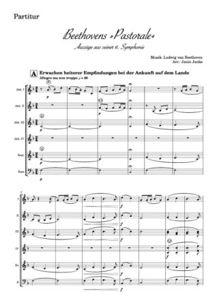 Beethovens »Pastorale« – Auszüge aus seiner 6. Symphonie, Ludwig van Beethoven, Janin Janke, Akkordeon-Orchester, Akkordeon-Ensemble, schwer, Easy-Stimme, Akkordeon Noten, Ansichtsseite