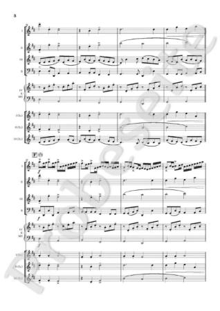 Preview: Kanon in D, Johann Pachelbel, Björn Kasan, Akkordeon-Orchester, Akkordeon-Ensemble, Hochzeit, Coverversion, Easy-Stimmen, Barock, Klassik, mittelschwer, Musik zum Träumen, Gänsehautmomente, Akkordeon Noten, Probeseite