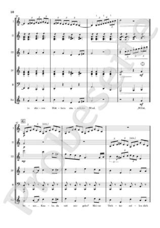 Erlkönig, Franz Schubert, Björn Kasan, Akkordeon-Orchester, Akkordeon-Ensemble, Easy-Stimme, Romantik, Klassik, mittelschwer-schwer, Gänsehautmomente, Akkordeon Noten, Notenbeispiel