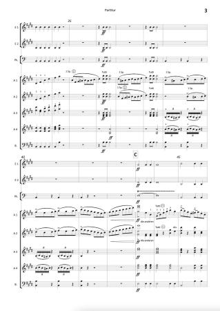 Jubel-Ouvertüre, Carl Maria von Weber, Stefan Hippe, Akkordeon-​Orchester, Hymne, pompös, schwer, Oberstufe-Höchststufe, Akkordeon Noten, Einblick in die Noten