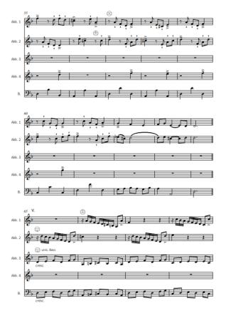 Besessenheit, Antonio Vivaldi, Johnny E. Mundelius, Akkordeon-Ensemble, Akkordeon-Quintett, mittelschwer bis schwer, Akkordeon Noten, Blick in die Noten