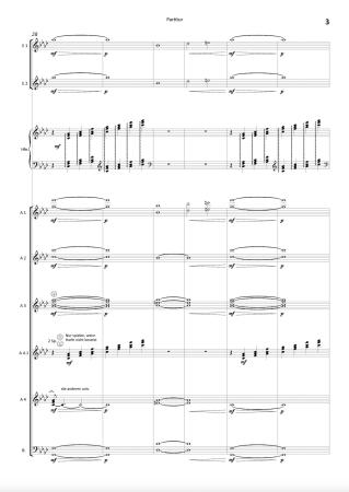 Romeo und Julia - Fantasie-Ouvertüre, Peter Tschaikowsky, Stefan Hippe, Akkordeon-​Orchester, Wertungsstück, Wettbewerbsliteratur, Konzertstück, schwer, Höchststufe, Akkordeon Noten, Beispielseite
