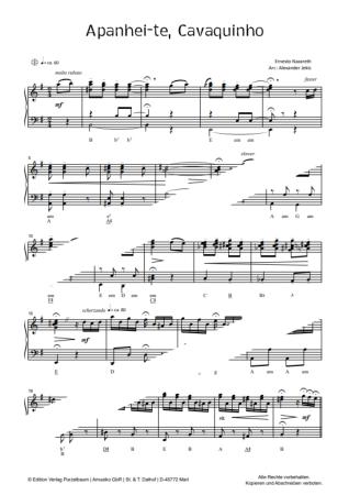 Preview: Apanhei-te, Cavaquinho, Ernesto Nazareth, Alexander Jekic, Akkordeon-Solo, Standardbass MII, Einzelausgabe, Konzert, Wettbewerb, Unterricht, virtuos, mittelschwer-schwer, Akkordeon Noten, Probeseite
