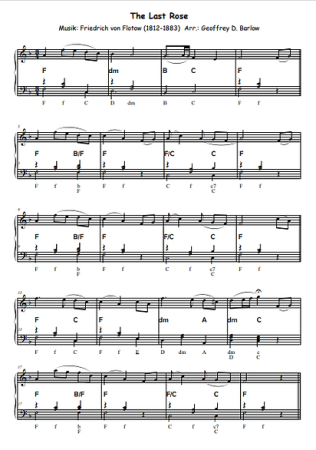 Slow Down, Geoffrey D. Barlow, Akkordeon-Solo, Standardbass MII, Klavier, Keyboard, Spielheft, Soloband langsamer Walzer, leicht-mittelschwer, Akkordeon Noten, Leseprobe