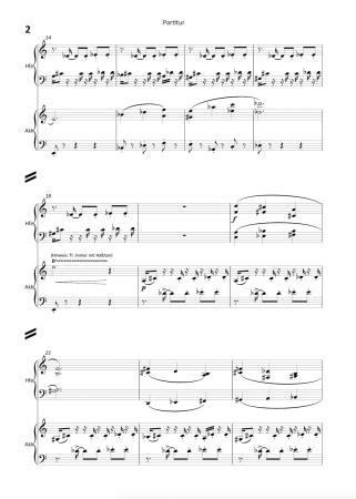 Die Spinne sitzt im Netz und ..., Stefan Hippe, Harfe und Akkordeon, Melodiebass MIII, schwer, Wertungsstück, Wettbewerb, Wettbewerbsliteratur, Duo, Duett, Kammermusik, Akkordeon Noten